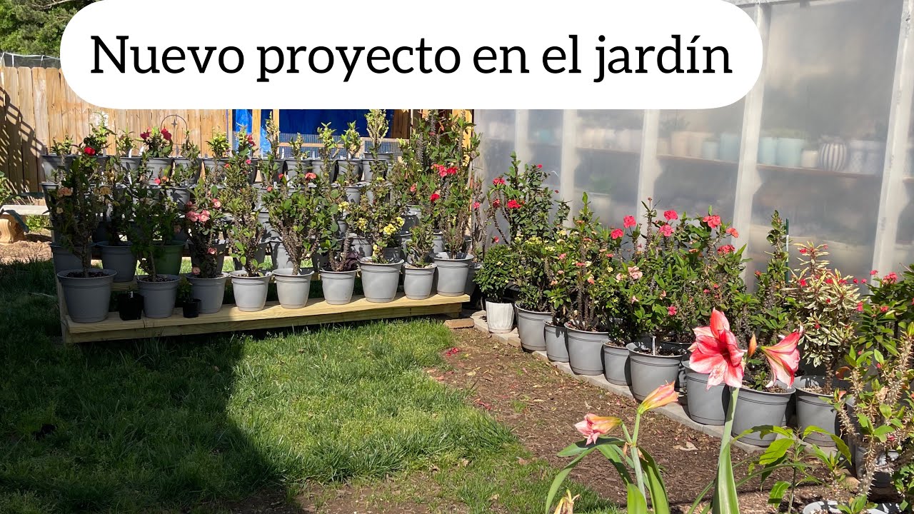 NUEVO PROYECTO EN EL JARDIN