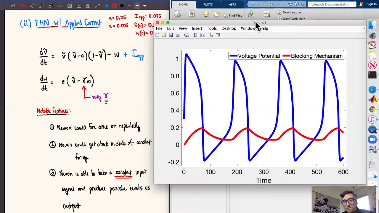 Part 4: Exploring solutions of the FitzHugh-Nagumo equations and all the variations considered