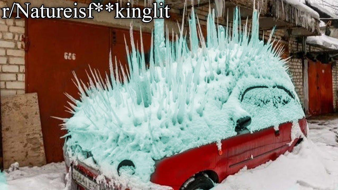 r/Natureisf**kinglit | the car is iced out