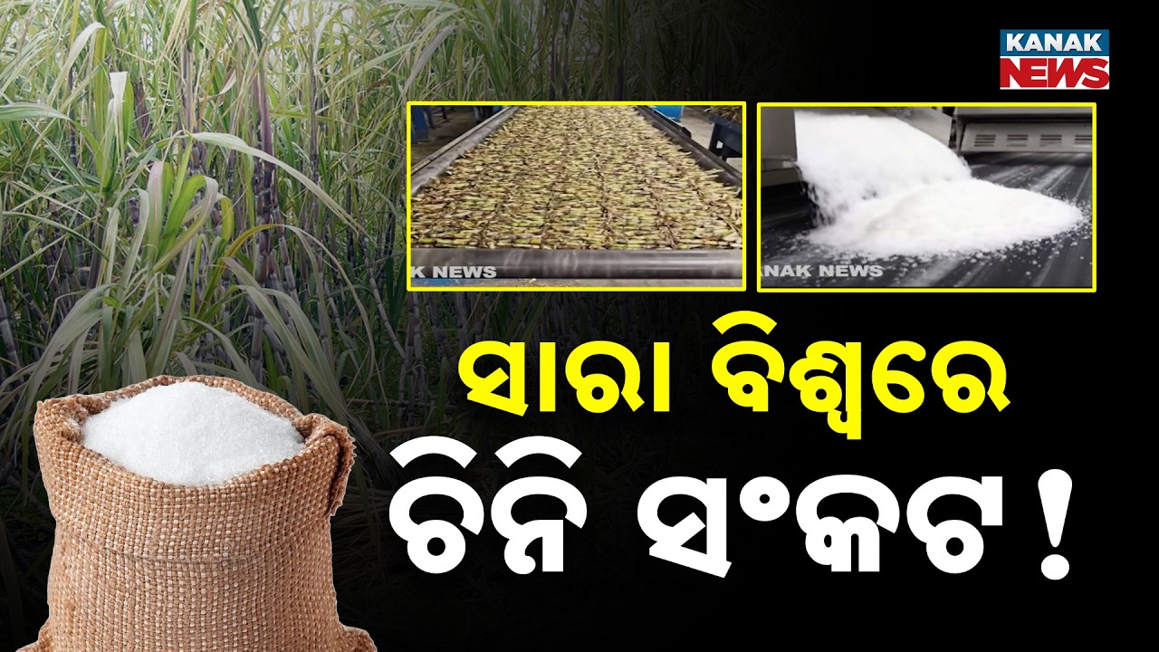 Massive Shock! India Bans Sugar Export For 3 Years, Global Crisis Ahead!