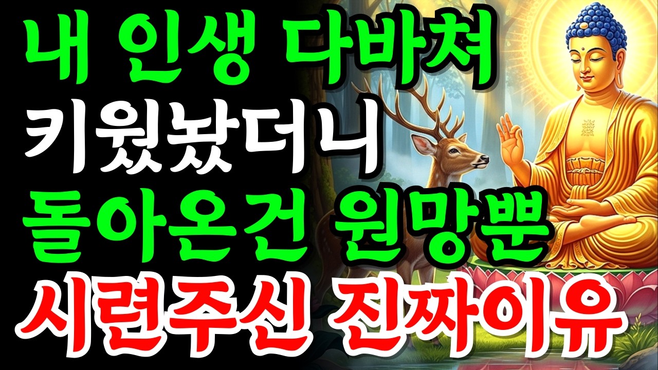 내 인생 포기하고 키워놨더니, 간섭 좀 그만하라는 자식의 독설 | 부처님가르침 | 부처님말씀 | 부처님지혜