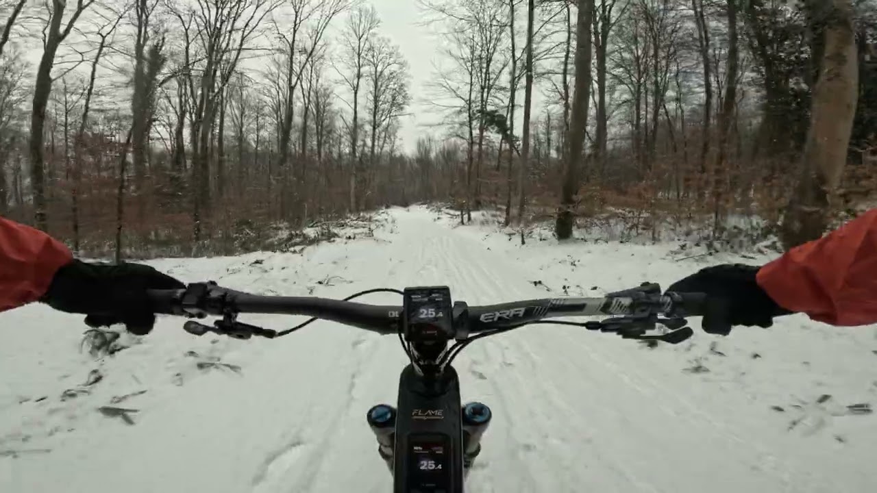 7-Weg Trail – First Run ❄️ | Snowy Local MTB | Rheinfelden, Switzerland