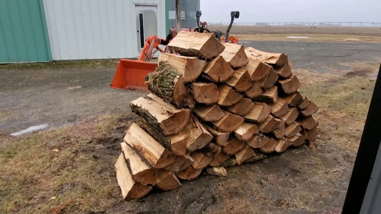 #12 Splitting firewood : Is this Osage Orange from Noah's Ark???