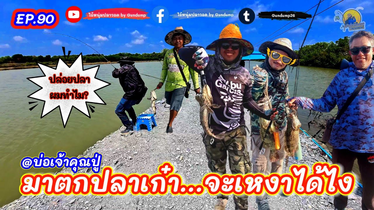 (EP.90) ตกปลาเก๋าบ่อเจ้าคุณปู่ในวันที่ปลากัดอืดๆยังพอเอาตัวรอดได้
