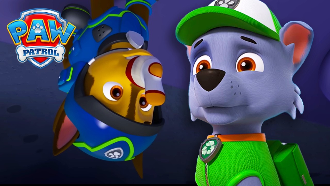 Free the Songbirds! 🐦- PAW Patrol - Cartoons for Kids