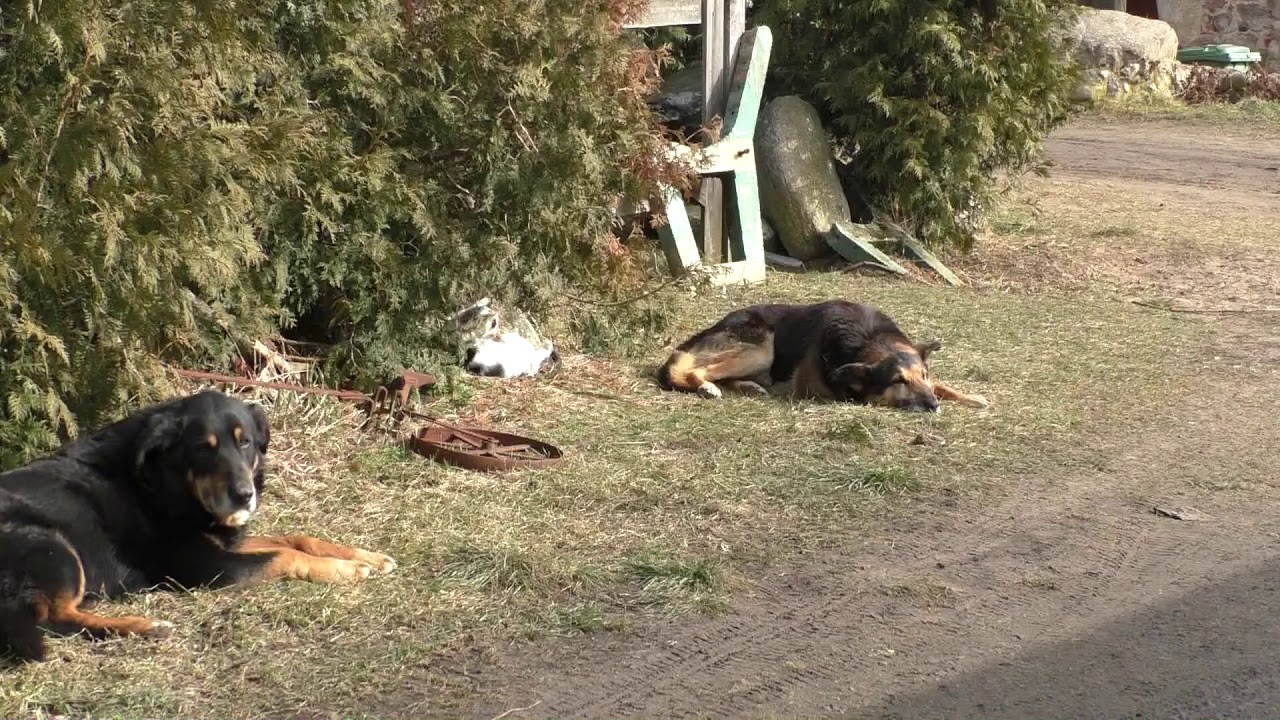 Obiekty i usługi turystyczne w gminie Przygodzice, cz.1  Folwark Jeździecki Jurand w Przygodziczkach
