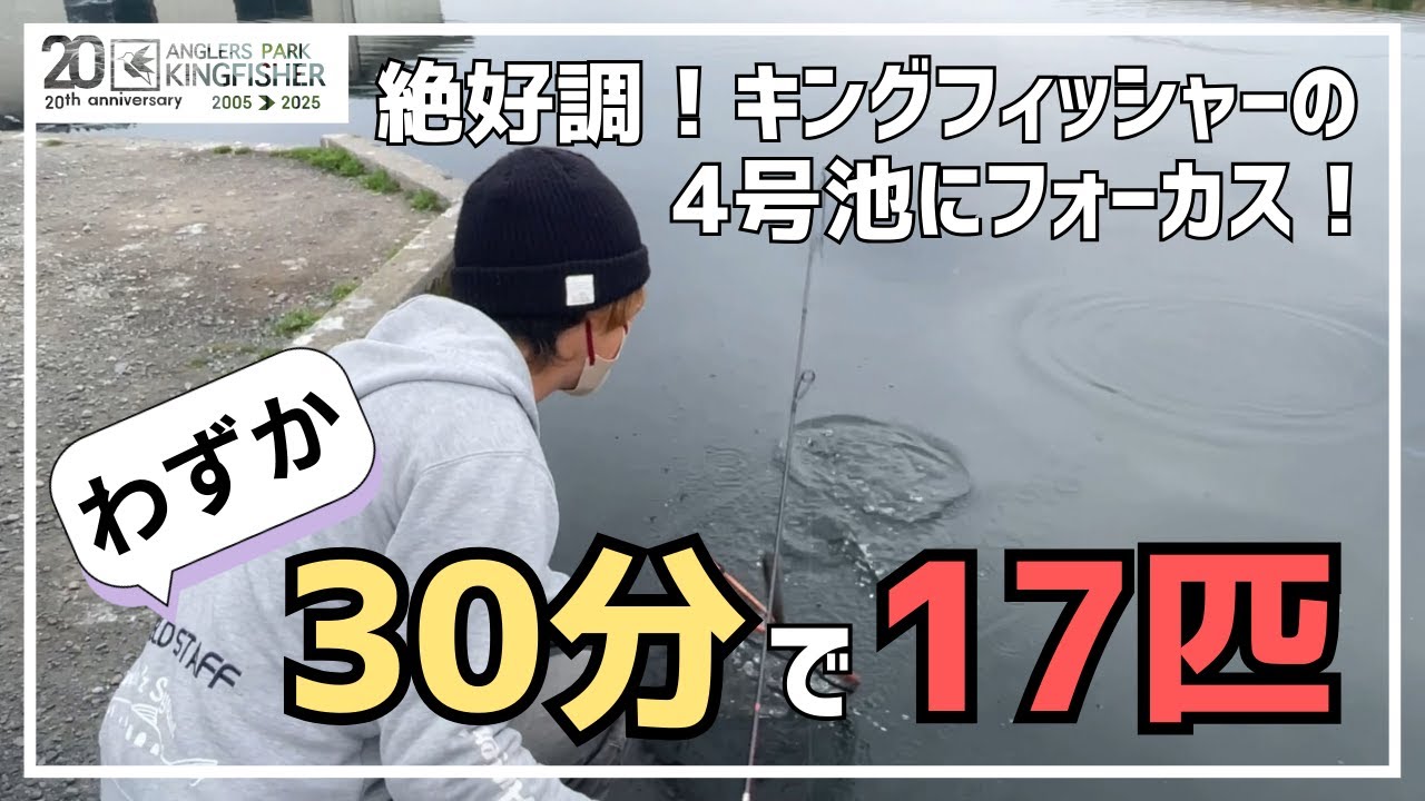 たった30分で17匹！？絶好調キングの4号池に注目！【スタッフが実釣してみた！】 in キングフィッシャー