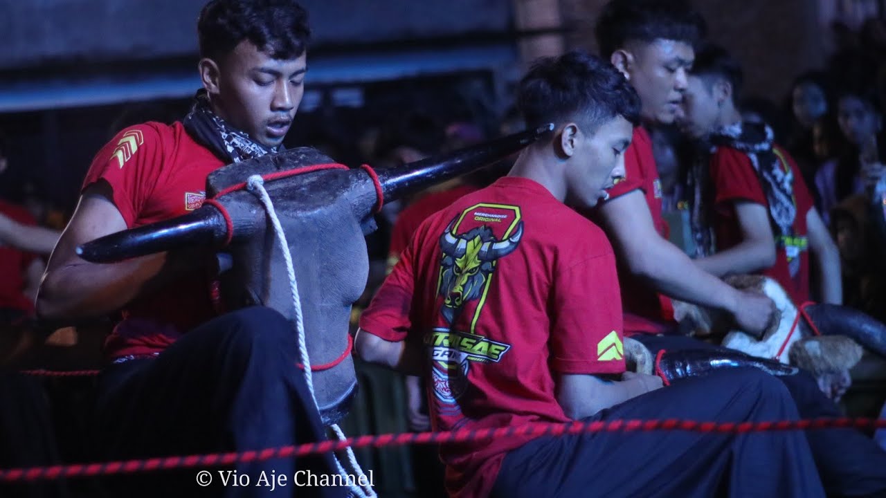 Alodine Kalap Putro Sae Live Tegal waru Dau Malang 18 Januari 2026