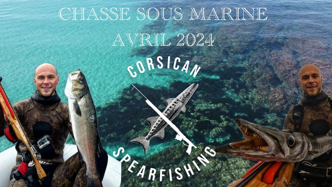 CHASSE SOUS MARINE CORSE AVRIL 2024