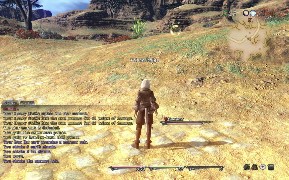 FFXIV 1.0 - Camp Tranquil to Drybone run