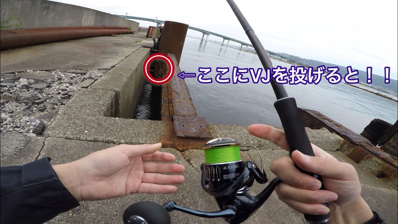 Fishing in Osaka Bay 29th May 2019