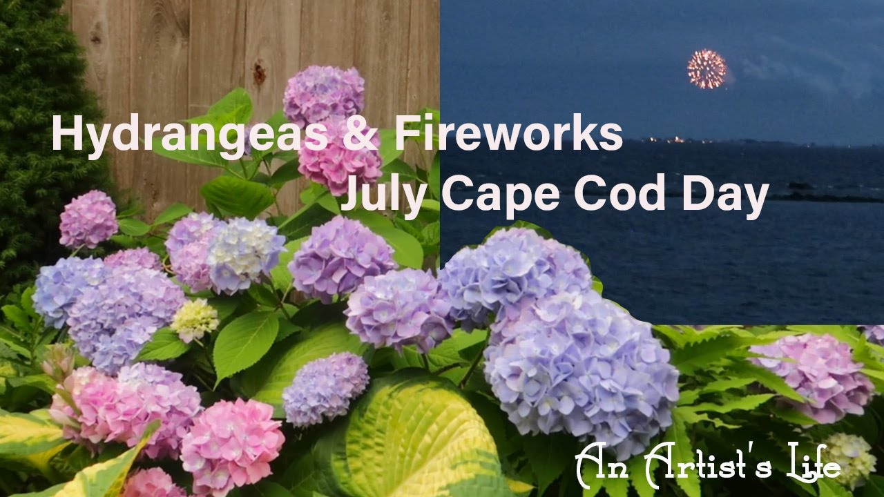Hydrangeas & Fireworks | Small Seaside Garden Visit | Quiet Cape Cod Kind of Day | Seaside Life