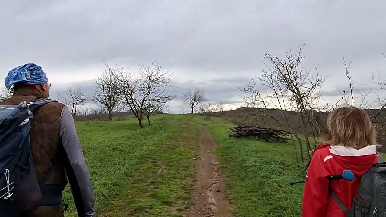 Doğada Bir Pazar Günü 