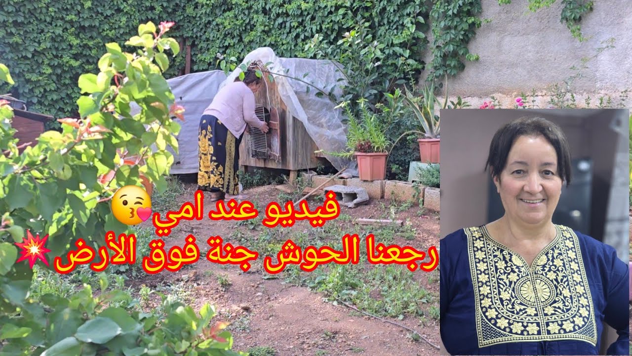 فيديو عند امي😘رجعنا الحوش جنة فوق الأرض💥🌹🥀محكوكة بالنعناع بمقادير مضبوطة بنة 😋روتين الشطارة