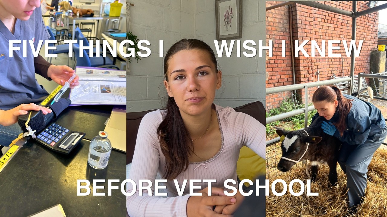 5 Things I Wish I Knew Before Starting Vet School