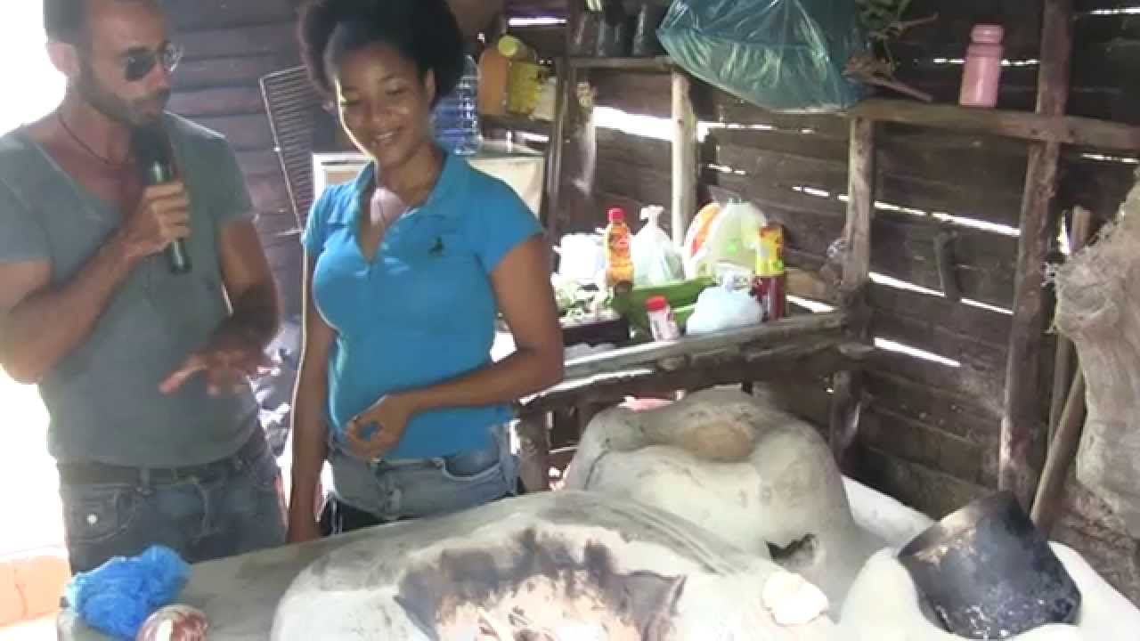 Guido la Guida e la Comida Dominicana a Las Terrenas - La Bandera