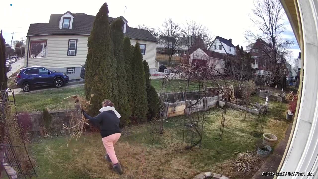 01.22.2026 The Tomato Cages Removed, Carrots Harvested. Next Up, Major Snow Storm☃️🥶