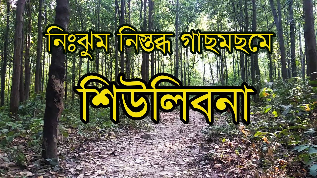 এখানে একা আসতে সাহসের প্রয়োজন | শিউলিবনা | Baranti Travel Guide (Part-2) | Susunia Hill |  Purulia