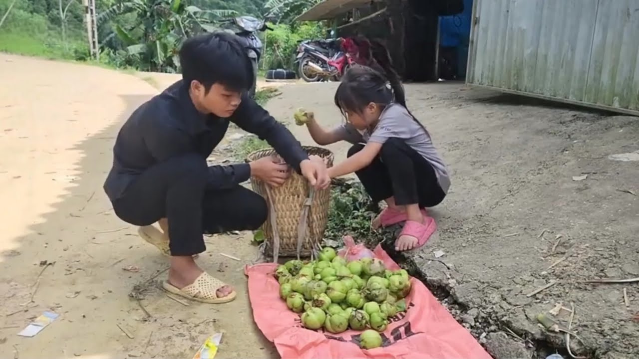 Poor boys and girls often go picking berries to sell for money to buy things.Ly ton Quang