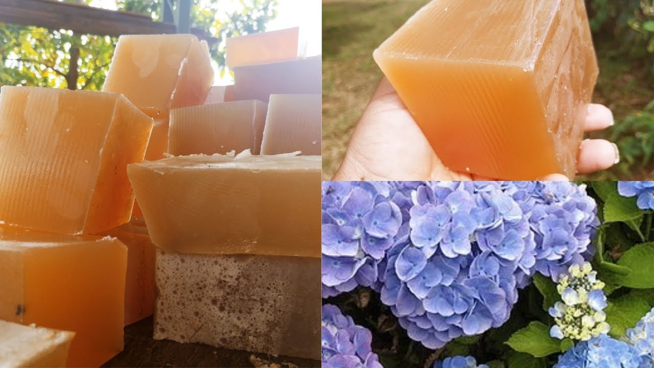 Reposição do sabão de álcool+plantei mudas de hortênsia +outras plantas.