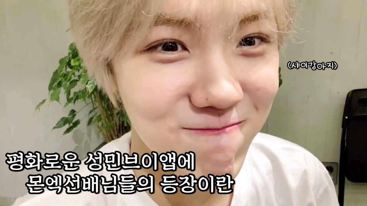 [크래비티/성민]평화로운 브이앱에 몬스타엑스 sbn의 등장이란
