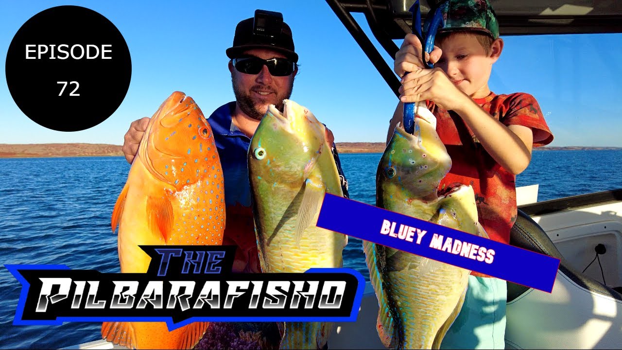 Pilbara Fishing – Coral Trout, Bluebone & Squid