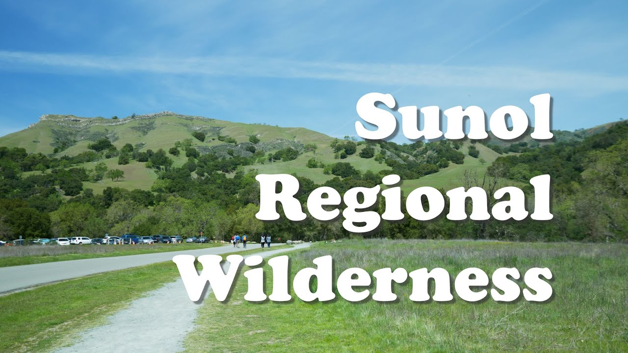 Sunol Regional Wilderness Hike