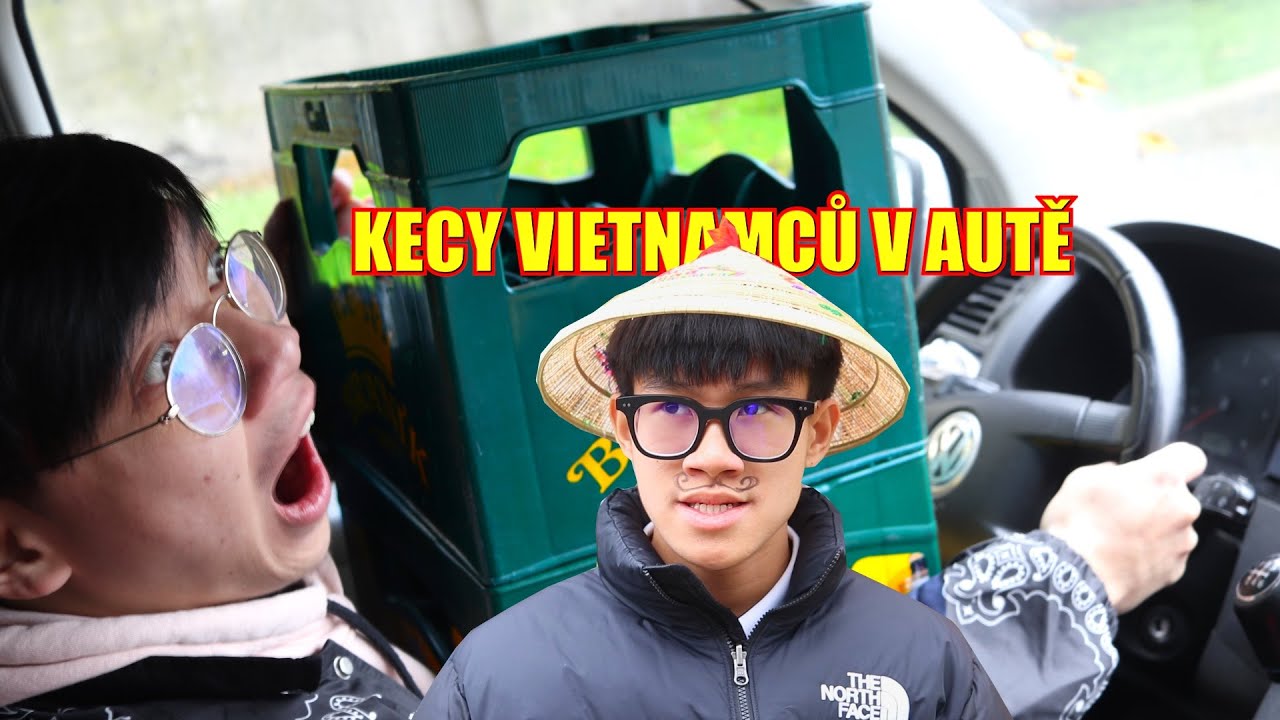 VIETNAMCI ZA VOLANTEM!