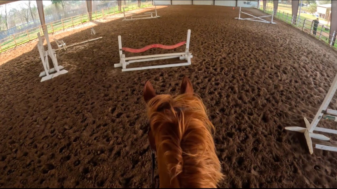 Early Morning Jump Session!! | GoPro Horse Helmet Cam