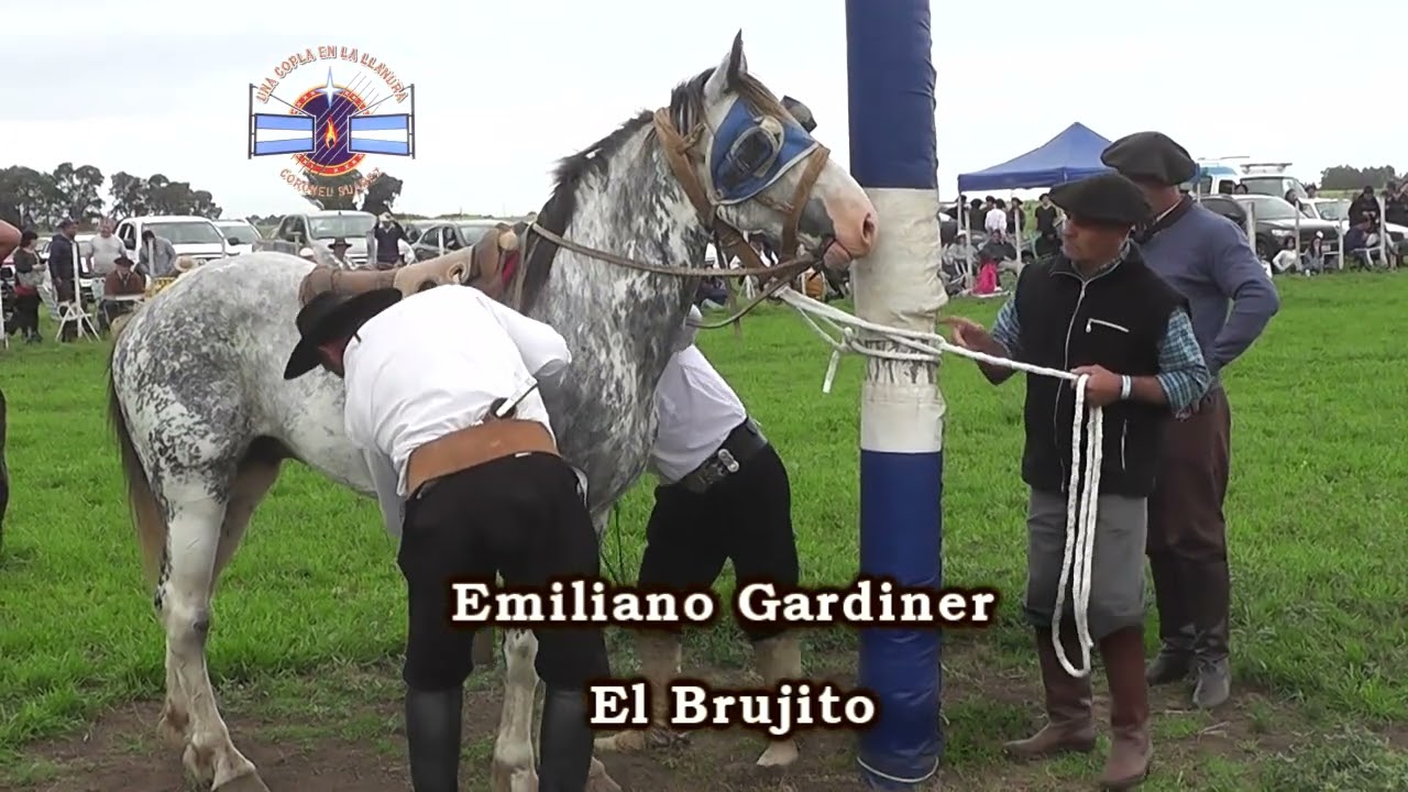 UNA COPLA EN LA LLANURA MONTA ESPECIAL EMILIANO GARDINER Y EL BRUJITO