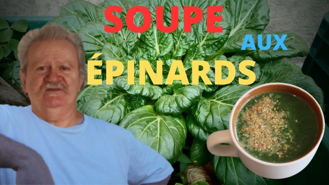 SOUPE AUX ÉPINARDS