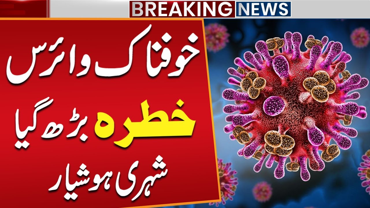 Pakistan on High Alert Over Possible Nipah Virus Spread | Breaking News | Public News