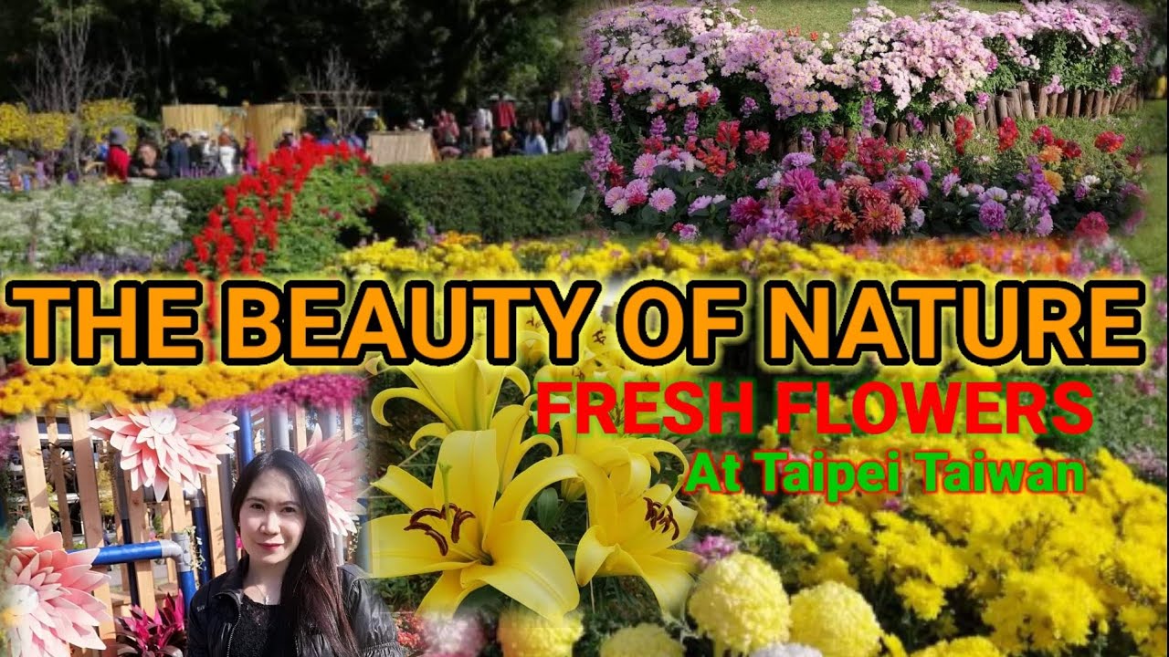 Fresh Flowers at CKS's Shilin Residence Park Taipei Taiwan