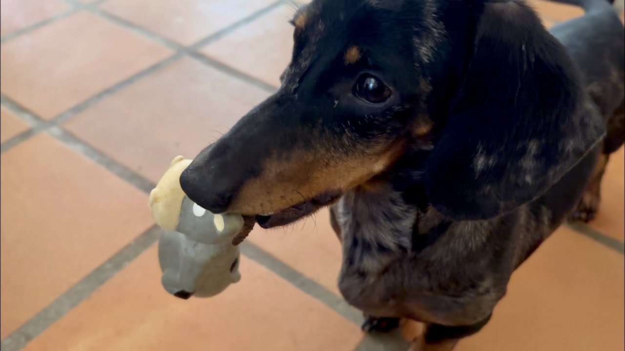 МИНИ ТАКСА РАЗДРАЖАЕТСЯ