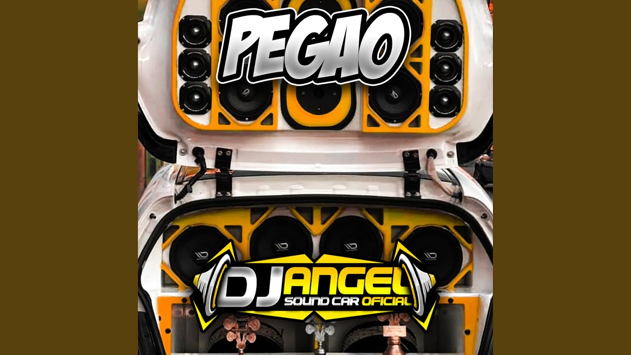 Pegao Car Audio