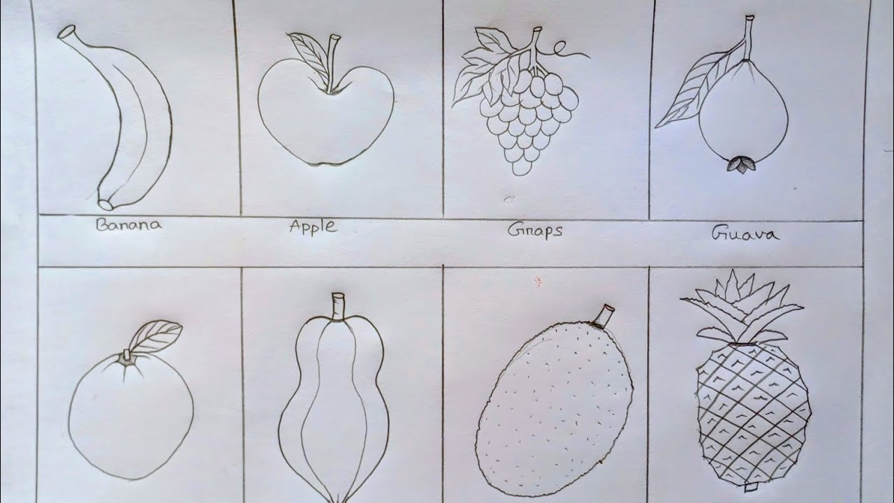 8 different types of fruit drawing ll how to draw fruits very easy step by step