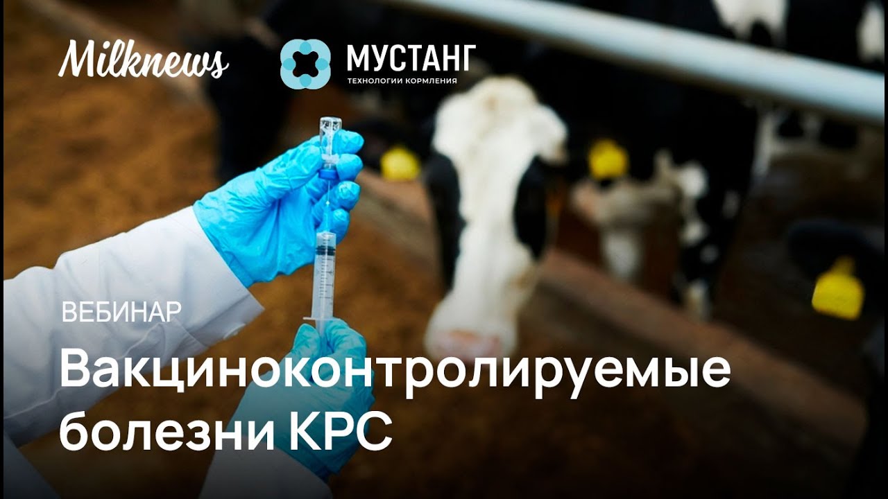 Вебинар «Вакциноконтролируемые болезни КРС»