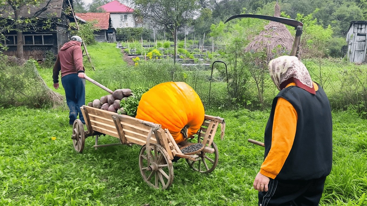 The Heartwarming Harvest: Mother & Son in the Carpathians Gather Pumpkins, Cut Hay and Cook Together