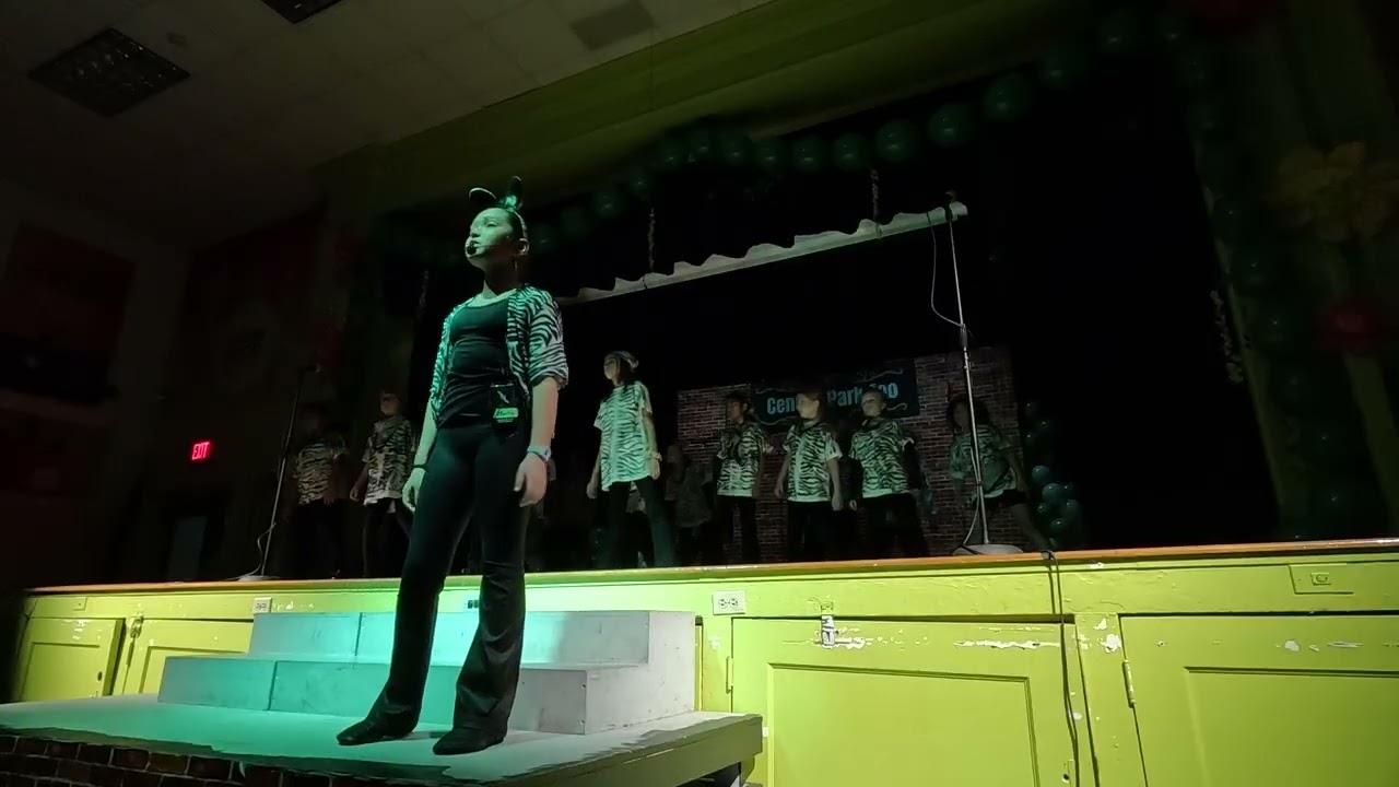 Madagascar Jr. part 1 Night 2 