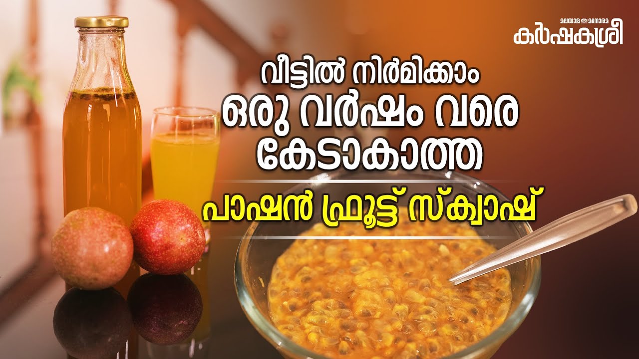 പ്രിസർവേറ്റീവ്സ് ചേർക്കാത്ത പാഷൻ ഫ്രൂട്ട് സ്ക്വാഷ് വീട്ടിൽത്തന്നെ | Karshakasree | Manorama Online
