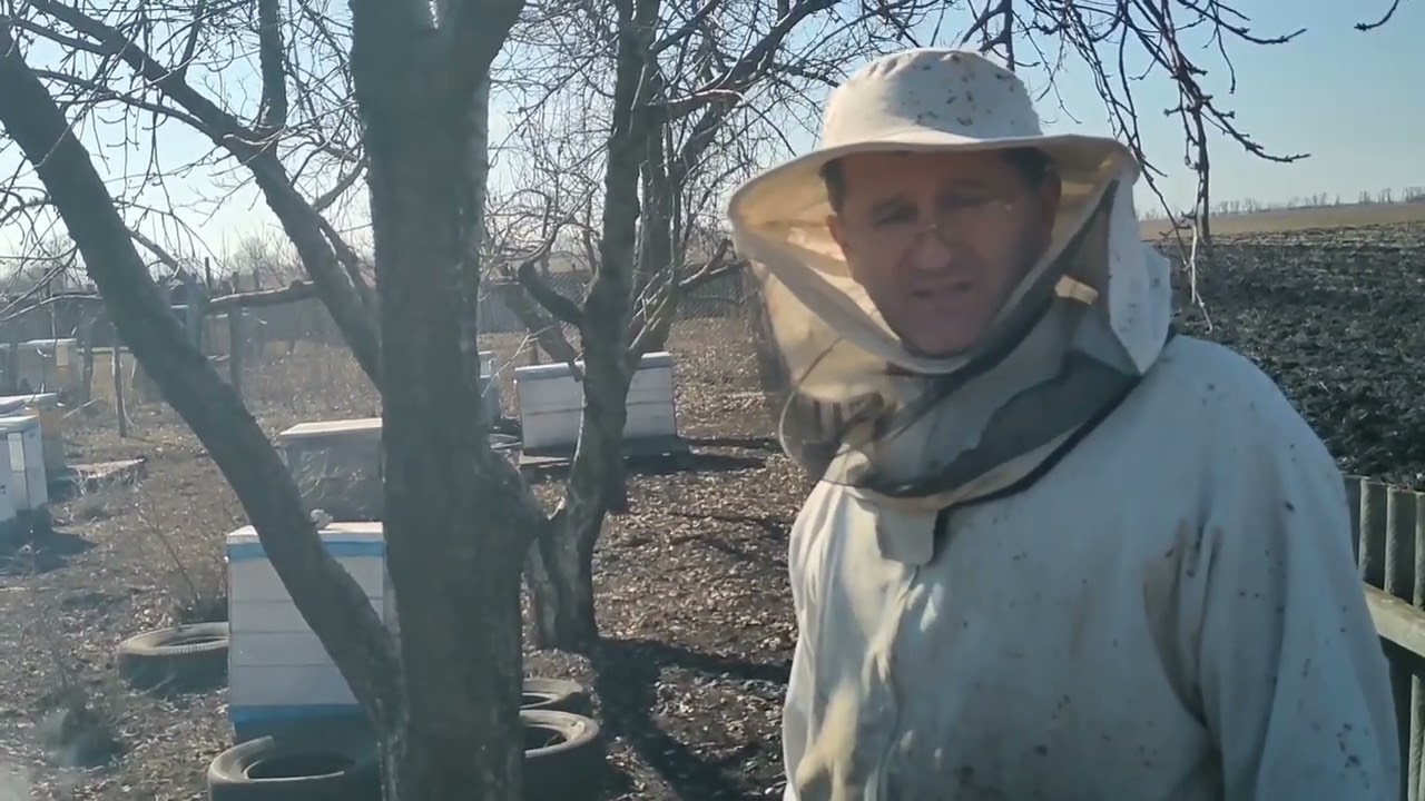 Як перезимував фанерний вулик!? 🤔 13 березня.