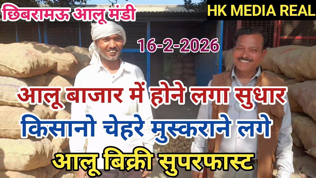 16-फरवरी-2026- आलू बाजार में होने लगा सुधार, आलू बिक्री सुपरफास्ट रही, आलू क्या कम निकलेगा ,छिबरामऊ 