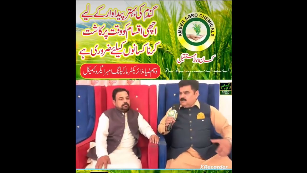 AMBER AGRO CHEMICALS : we deal with fertilizers pesticides and seed.