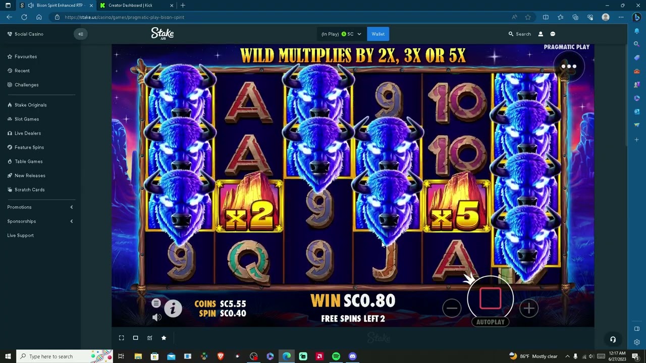 3600X on bison spirit rtp enhanced