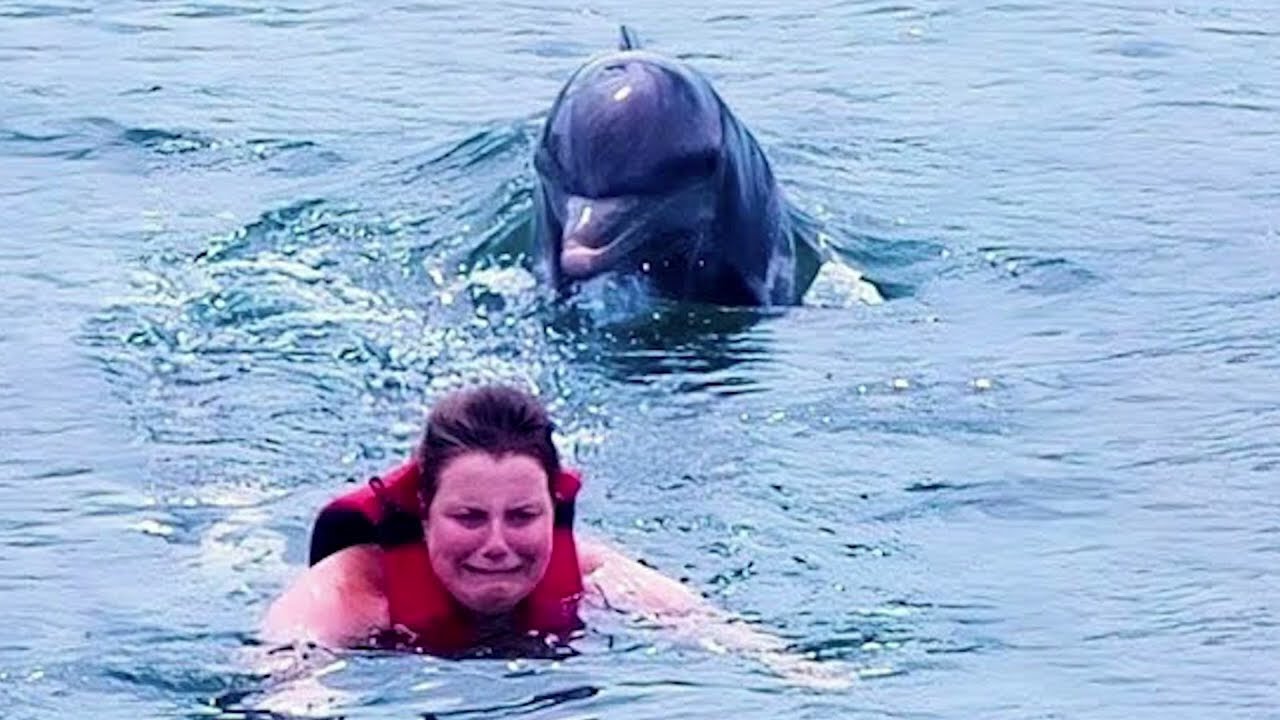 Damn Nature You Scary | Rare & Scary Animal Encounters 😱 #17