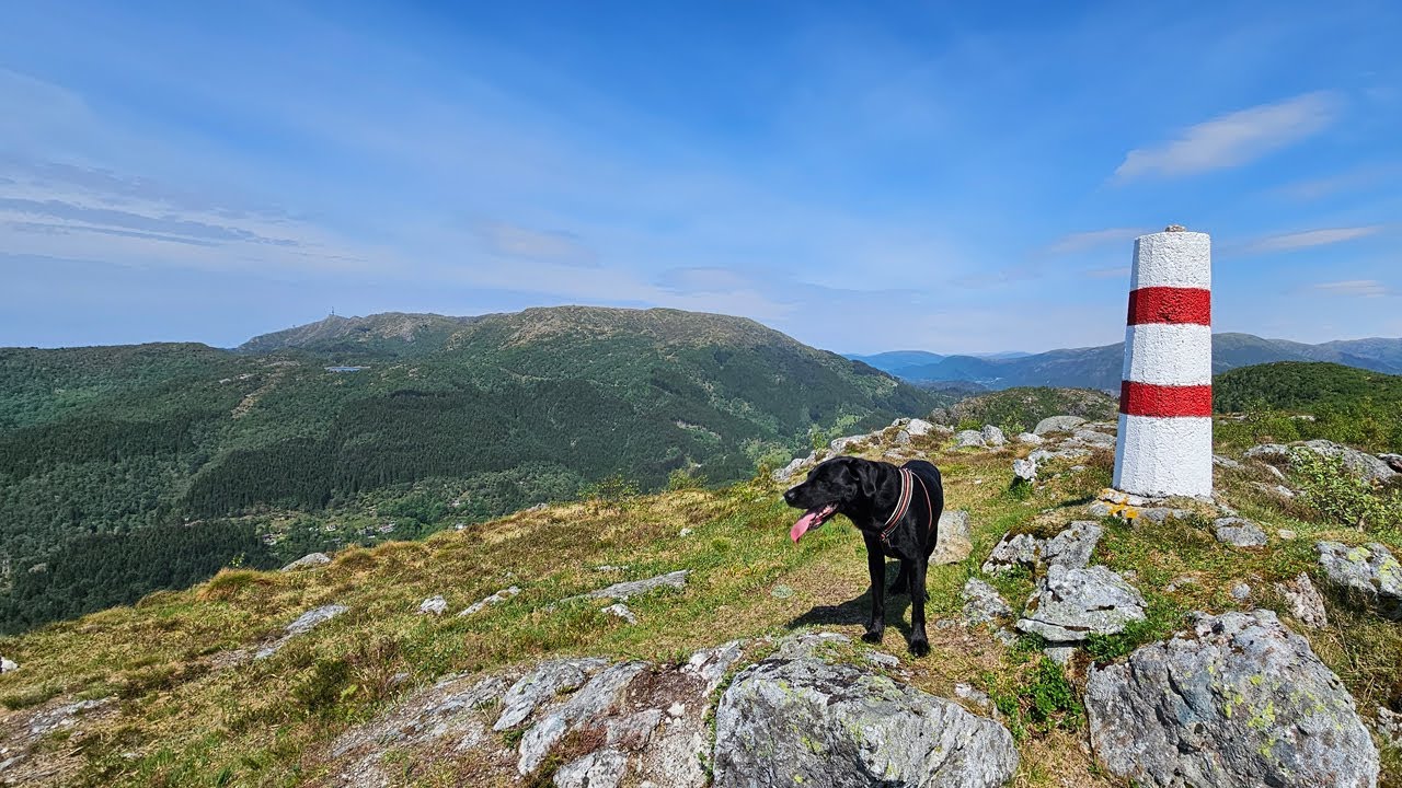 Bratt rute til Flåfjellet (418 moh) i Fana #flåfjellet #fana #utpåturvestland