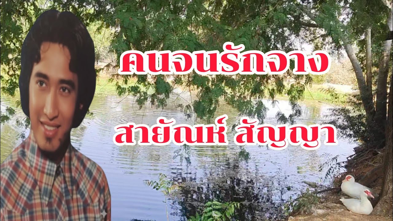 คนจนรักจาง สายัณห์ สัญญา @wawapafinjp 
