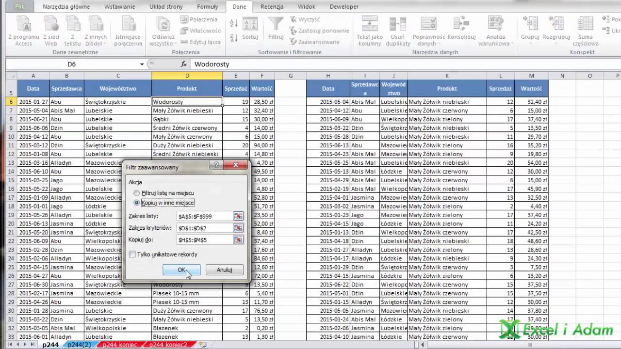 Excel - Filtry zaawansowane i symbole wieloznaczna - porada #244