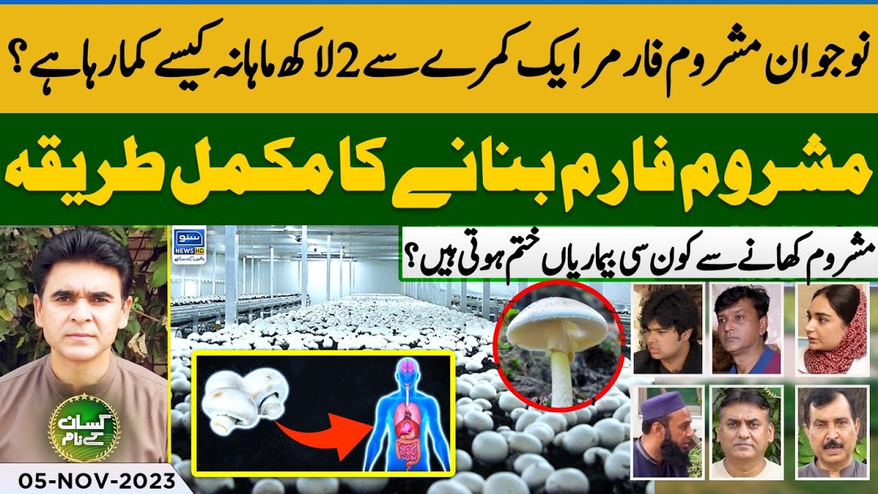 Mushroom farming business in Pakistan | How to start Mushroom farm | Kissan Kay Naam | Ep 43