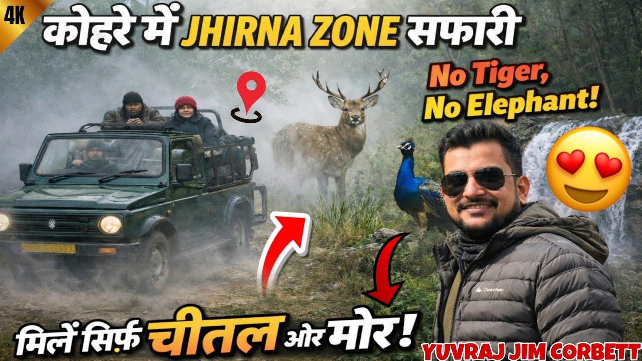 Kohre Mein Jhirna Zone Safari 😱 | Alarm Call Hui 🧐 #yuvrajjimcorbett 